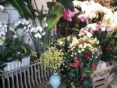 -春暖花开(西溪店)
