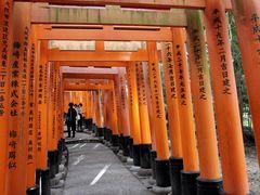 -上野公园花园稻荷神社(忍岡稲荷神社)