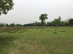 -眉山湿地公园(东坡区)