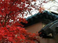 -郑和公园