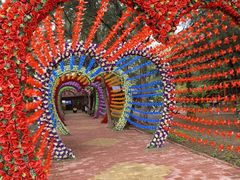 -北海金海湾红树林生态旅游区