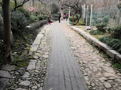 -雨花胜境