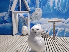 -成都浩海立方海洋公园