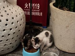 -喜洲吧·江畔老船厂·庭院餐厅(喜临院店)