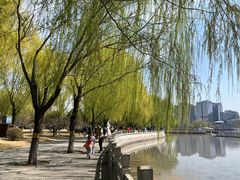 -莲花池公园