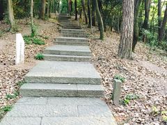 -九曜山