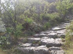 -阳台山自然风景区