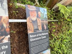 -怀托摩萤火虫洞