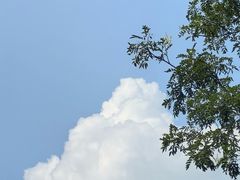 -湖洞水自然风景区