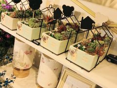 -花未央花店·WEYOUNG
