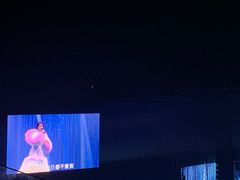 -梦之蓝青奥体育公园体育馆