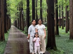 -黄海国家森林公园