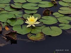 -眉山湿地公园(东坡区)