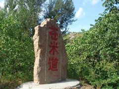 -百里山水画廊乌龙峡谷