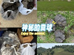 -关山草原