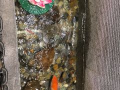 -渔米粥(罗湖店)