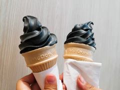 -麦当劳(石家庄北国店)