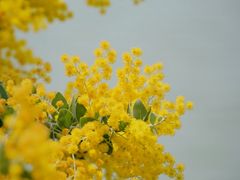 -牛岗山公园
