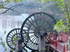-重庆彩云湖湿地公园