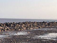 -南汇嘴观海公园