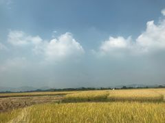 -蚝乡农庄(铁涌赤岸店)