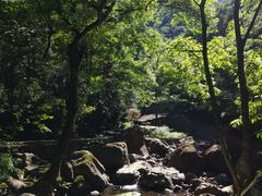 -白云源风景区