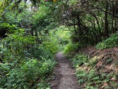 -东白山