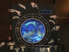 -世界恐龙谷景区