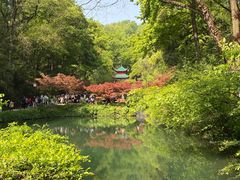 -岳麓山风景名胜区