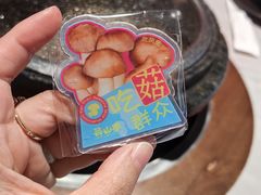 -芸山季·云南山珍菌火锅(人民广场来福士店)