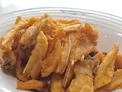 -港升鱼师傅·中山脆肉鲩