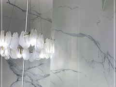 -香港新曜记·粤菜点心(滨江宝龙店)