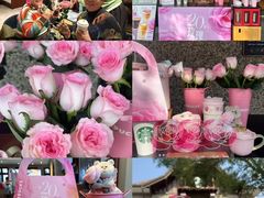 -星巴克臻选(思南公馆店)
