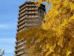 -玲珑塔公园
