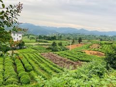 -乌石村