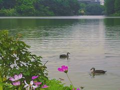 -海珠湖公园