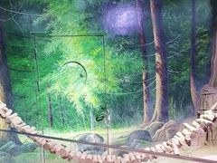 -正佳雨林生态植物园