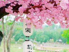 -桂溪生态公园
