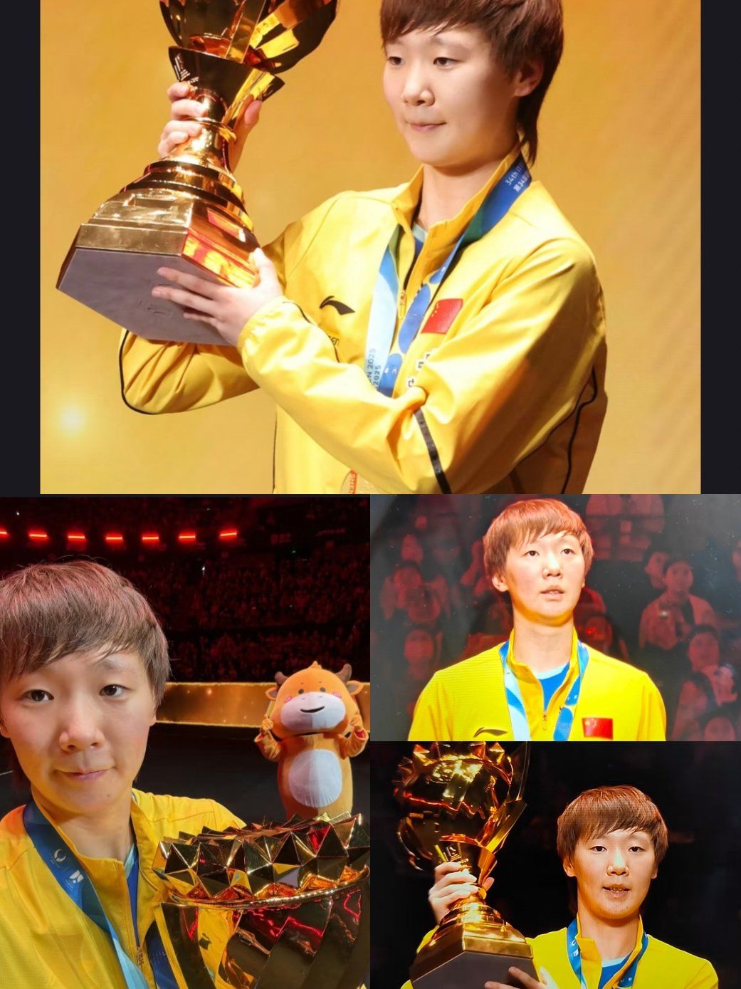 威海南海 乒乓球世 界杯冠军相关图片2