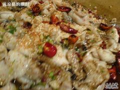 DSC02457-百岁鱼(望月路店)