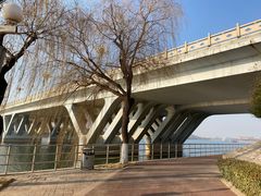 -济南国际园博园