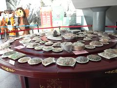 -中国第四纪冰川遗迹陈列馆