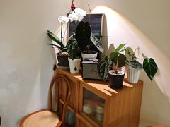 -本無咖啡·BeanWood Coffee