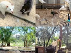 -六鳌翡翠湾滨海度假景区