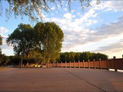 -大兴滨河森林公园