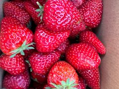 -小鱼草莓采摘园农家乐·小鱼餐厅