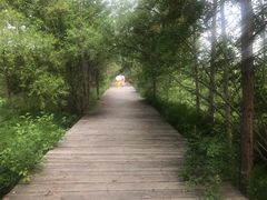 -北极村旅游风景区