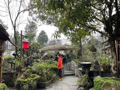 -青城甲(青城山店)