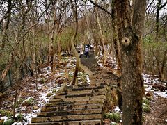 -紫金山山顶公园
