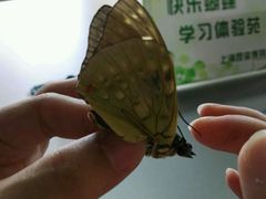 -上海昆虫博物馆